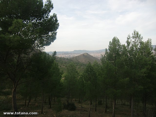 Viaje a Jumilla. Hermandad de Nuestro Padre Jess Nazareno y Santo Sepulcro de Totana - 73