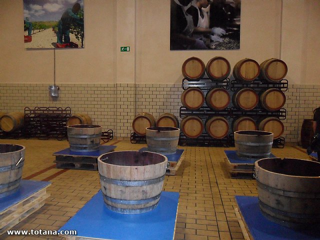 Viaje a Jumilla. Hermandad de Nuestro Padre Jess Nazareno y Santo Sepulcro de Totana - 93