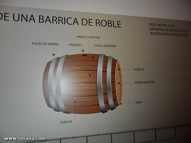 Viaje a Jumilla. Hermandad de Nuestro Padre Jess Nazareno y Santo Sepulcro de Totana - 97