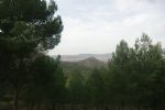 jumilla - 73 jumilla