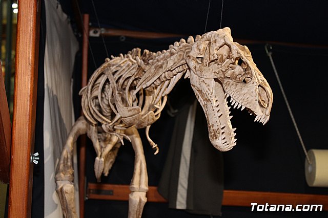 Mercado Jursico - Fiestas de Santa Eulalia 2017 - 11