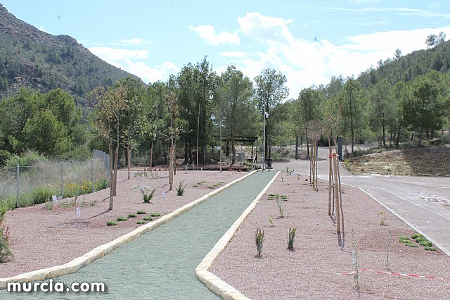 El yacimiento argrico de La Bastida abre sus puertas al pblico  - 5