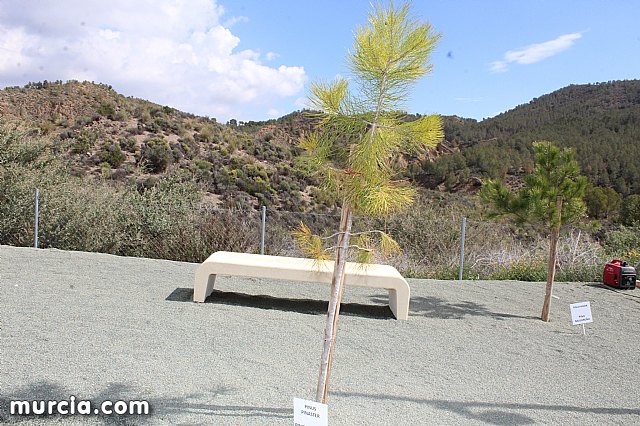 El yacimiento argrico de La Bastida abre sus puertas al pblico  - 6