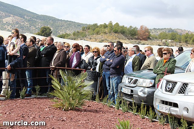 El yacimiento argrico de La Bastida abre sus puertas al pblico  - 68