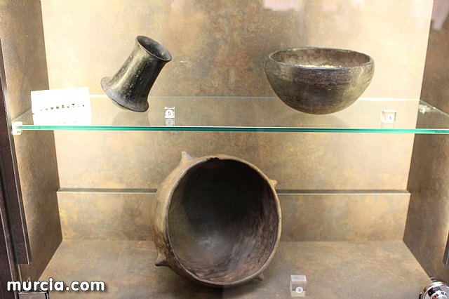 El yacimiento argrico de La Bastida abre sus puertas al pblico  - 110