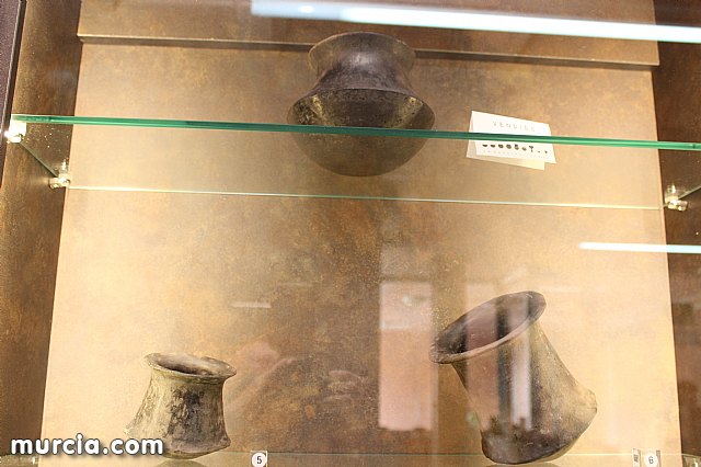 El yacimiento argrico de La Bastida abre sus puertas al pblico  - 111