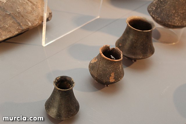 El yacimiento argrico de La Bastida abre sus puertas al pblico  - 116