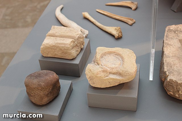 El yacimiento argrico de La Bastida abre sus puertas al pblico  - 117