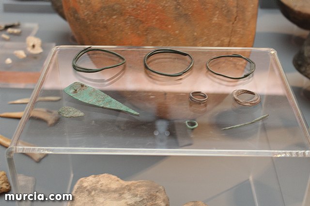 El yacimiento argrico de La Bastida abre sus puertas al pblico  - 118