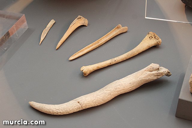 El yacimiento argrico de La Bastida abre sus puertas al pblico  - 119