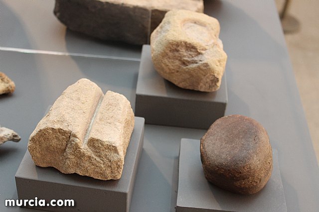 El yacimiento argrico de La Bastida abre sus puertas al pblico  - 120