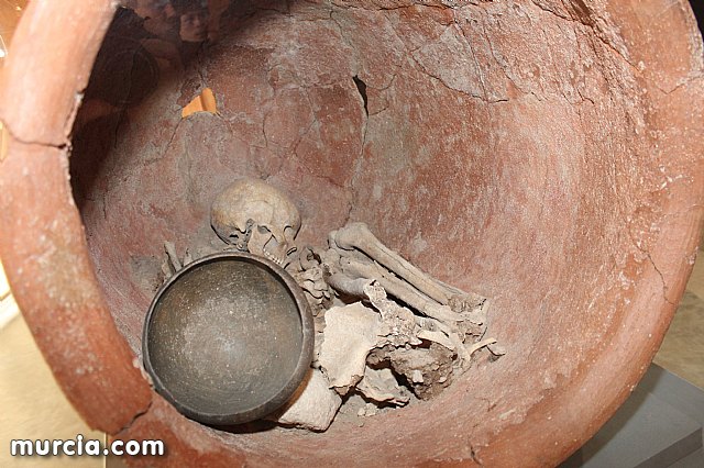 El yacimiento argrico de La Bastida abre sus puertas al pblico  - 129