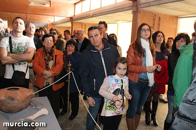 El yacimiento argrico de La Bastida abre sus puertas al pblico  - 143