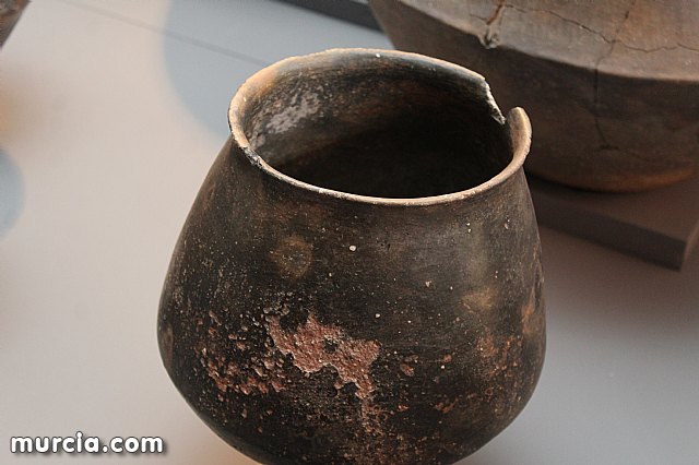 El yacimiento argrico de La Bastida abre sus puertas al pblico  - 144