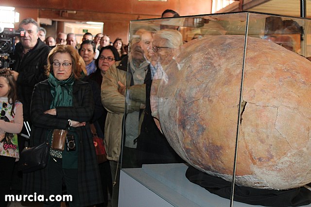 El yacimiento argrico de La Bastida abre sus puertas al pblico  - 158