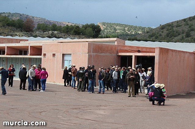 El yacimiento argrico de La Bastida abre sus puertas al pblico  - 170