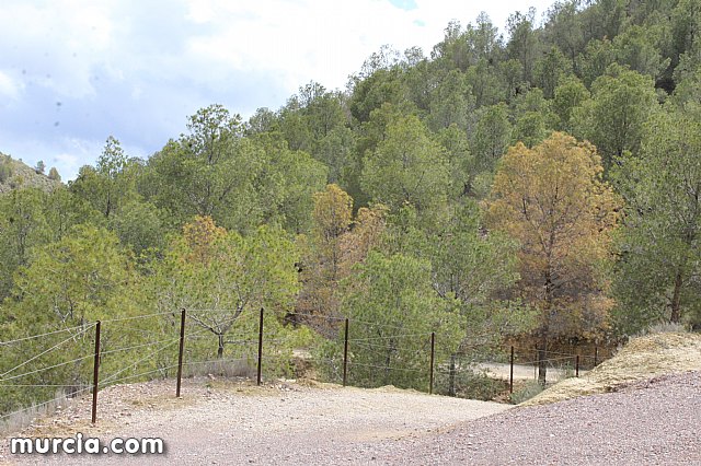 El yacimiento argrico de La Bastida abre sus puertas al pblico  - 171
