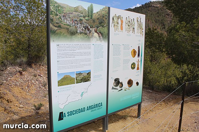 El yacimiento argrico de La Bastida abre sus puertas al pblico  - 172