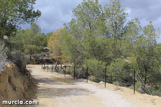 El yacimiento argrico de La Bastida abre sus puertas al pblico  - 174