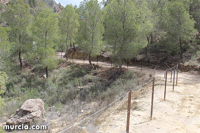 El yacimiento argrico de La Bastida abre sus puertas al pblico  - 175