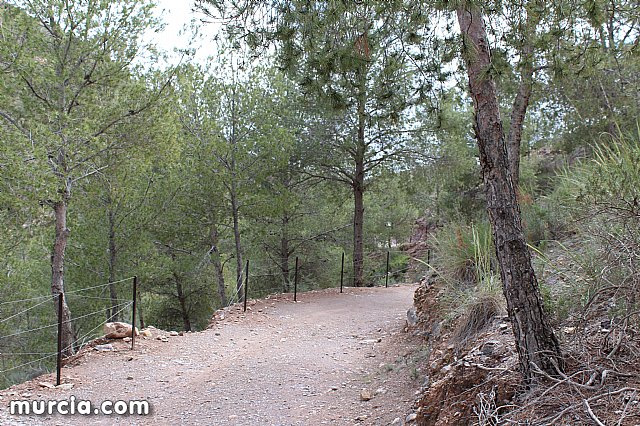 El yacimiento argrico de La Bastida abre sus puertas al pblico  - 178