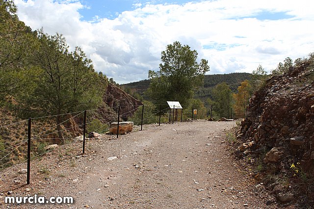 El yacimiento argrico de La Bastida abre sus puertas al pblico  - 181