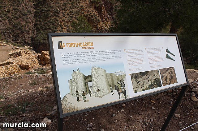 El yacimiento argrico de La Bastida abre sus puertas al pblico  - 182