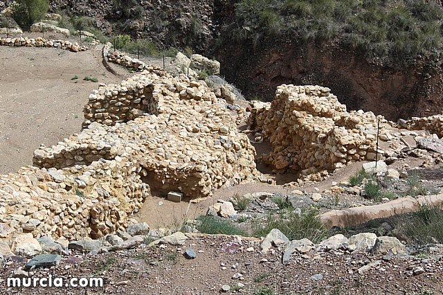 El yacimiento argrico de La Bastida abre sus puertas al pblico  - 184