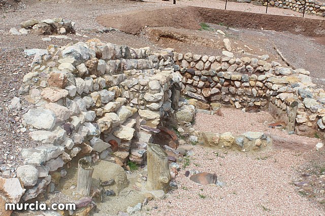 El yacimiento argrico de La Bastida abre sus puertas al pblico  - 207