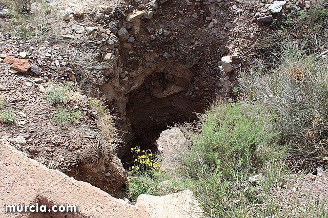 El yacimiento argrico de La Bastida abre sus puertas al pblico  - 223