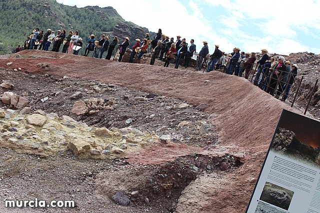 El yacimiento argrico de La Bastida abre sus puertas al pblico  - 233