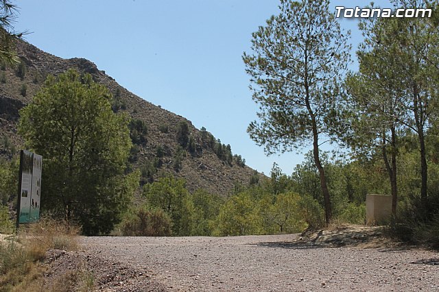 Solicitarn el 1,5 % cultural para restaurar, conservar y promocionar el proyecto arqueolgico de La Bastida - 2