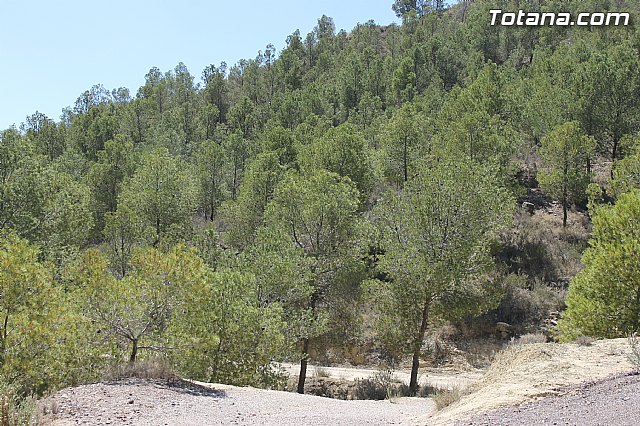 Solicitarn el 1,5 % cultural para restaurar, conservar y promocionar el proyecto arqueolgico de La Bastida - 9