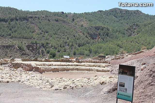 Solicitarn el 1,5 % cultural para restaurar, conservar y promocionar el proyecto arqueolgico de La Bastida - 57