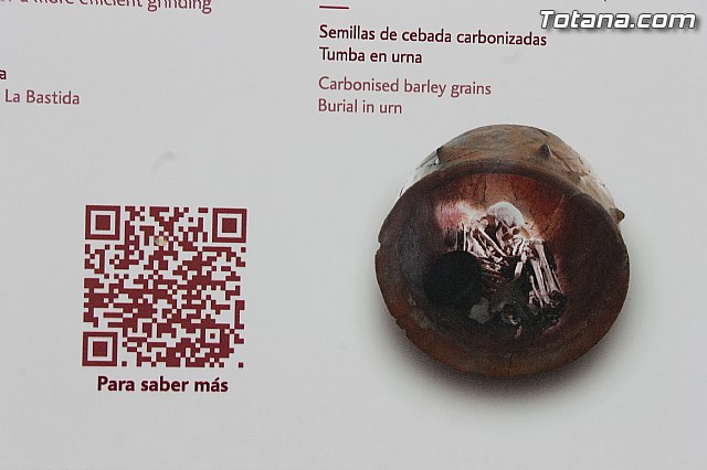 Solicitarn el 1,5 % cultural para restaurar, conservar y promocionar el proyecto arqueolgico de La Bastida - 62