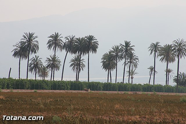 Fiestas de la Costera 2013 - 140