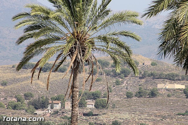Fiestas de la Costera 2013 - 144