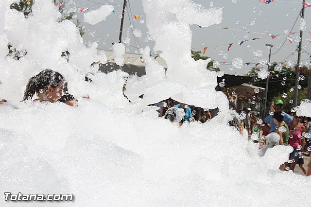 Fiestas de la Costera 2013 - 339