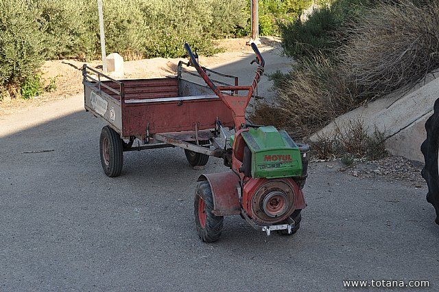 Fiestas de la Pedana de la Costera 2014 - 563