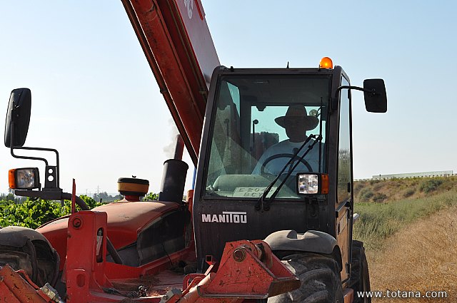 Fiestas de la Pedana de la Costera 2014 - 567
