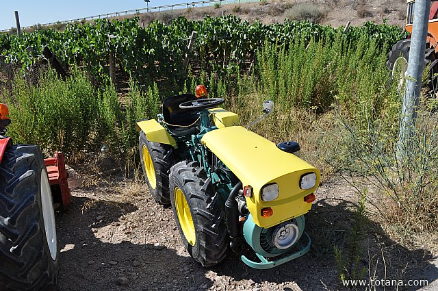 Fiestas de la Pedana de la Costera 2014 - 608