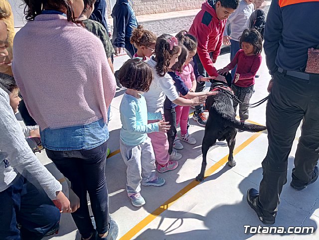 El CEIP La Cruz sigue trabajando por ser un colegio saludable - 79