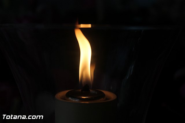 Fiestas y procesin La Huerta 2013 - 4