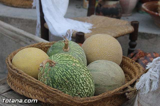 Fiestas y procesin La Huerta 2013 - 150
