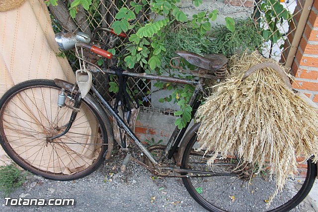 Fiestas y procesin La Huerta 2013 - 153