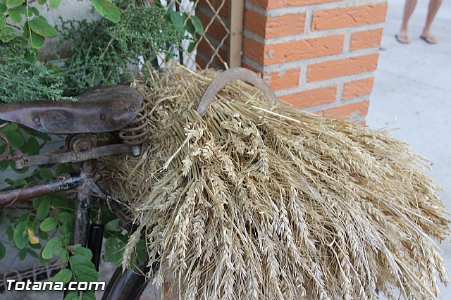 Fiestas y procesin La Huerta 2013 - 154