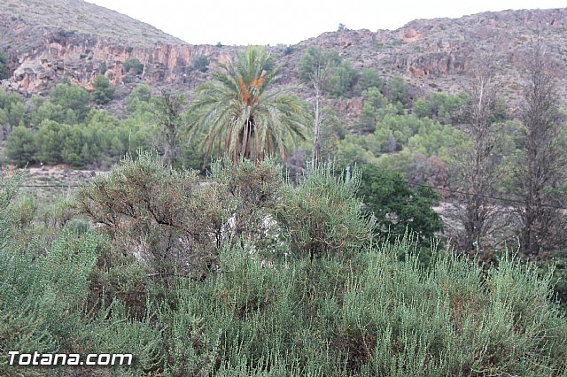 Fiestas y procesin La Huerta 2013 - 166