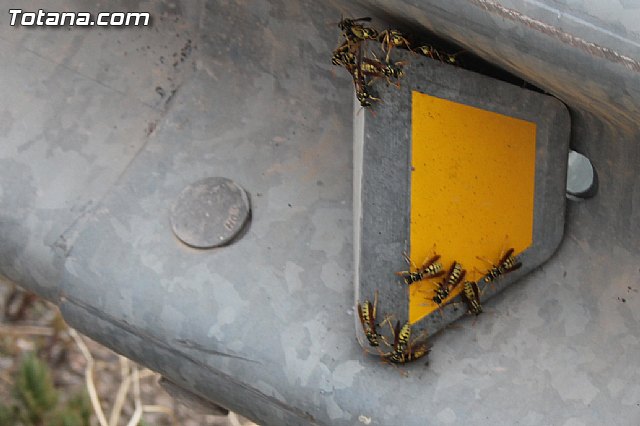 Fiestas y procesin La Huerta 2013 - 182