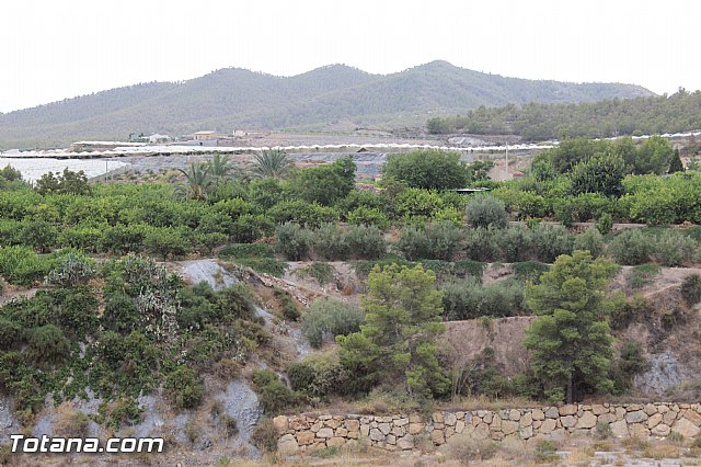 Procesin La Huerta 2015 - 25