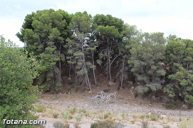 Procesin La Huerta 2015 - 88